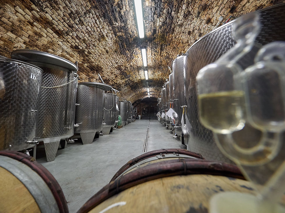 weingut keller