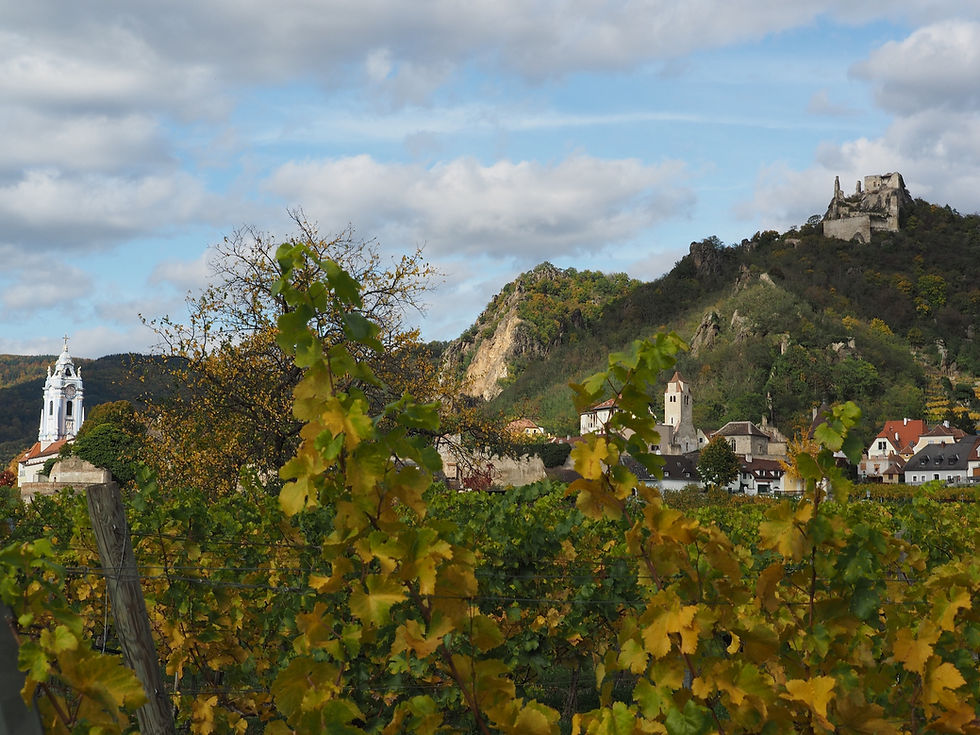 weingut