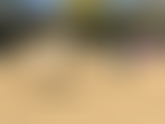 Trois générations équines au Ranch