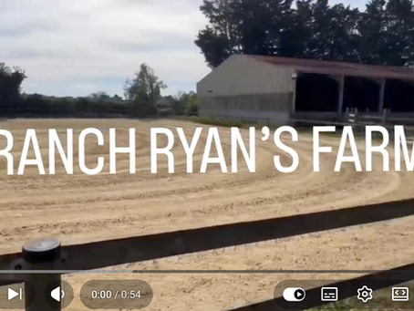 Ryan's Farm : un centre équestre familial au cœur de la nature, à deux pas de Fontainebleau