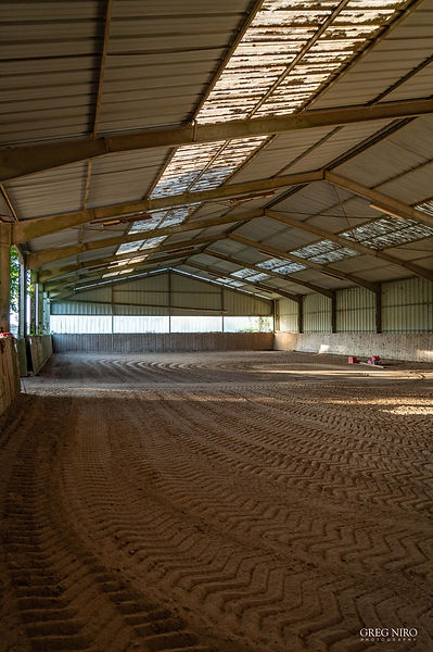 manege ryans farm
