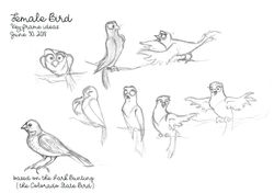 Bird Characters