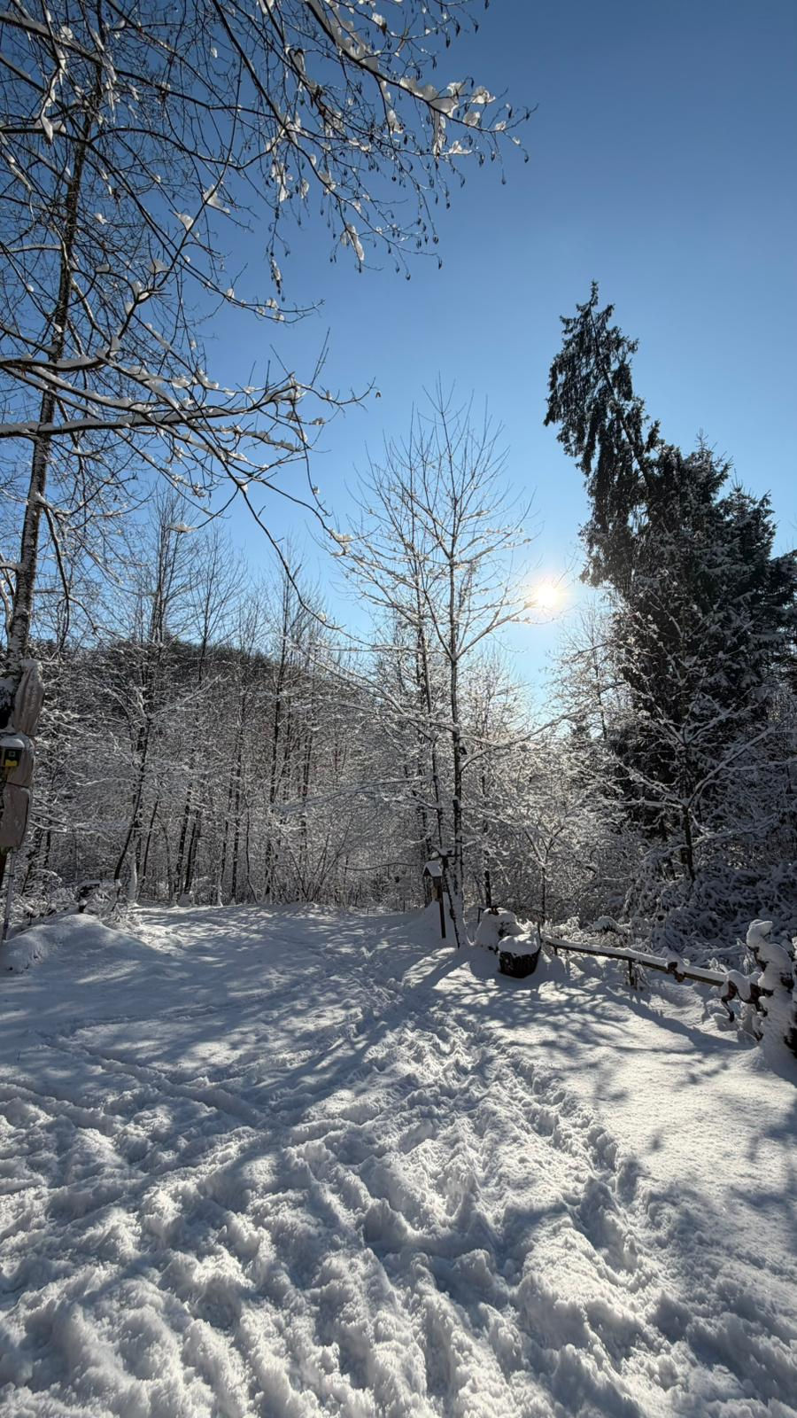 WhatsApp Image 2026-01-11 at 15.36.21.jpeg