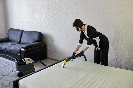 deep cleaning.png