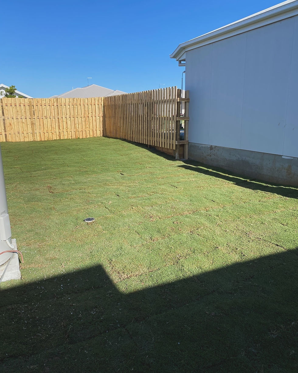 Freshly laid turf and landscaping services Morayfield