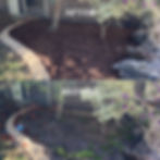 Landscapers_Morayfield
