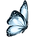 weißer Schmetterling