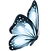 weißer Schmetterling