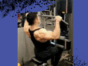Lat Pulldown