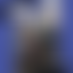 Dumbbell Bulgarian Split Squat