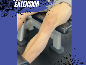 Seated Leg Extension