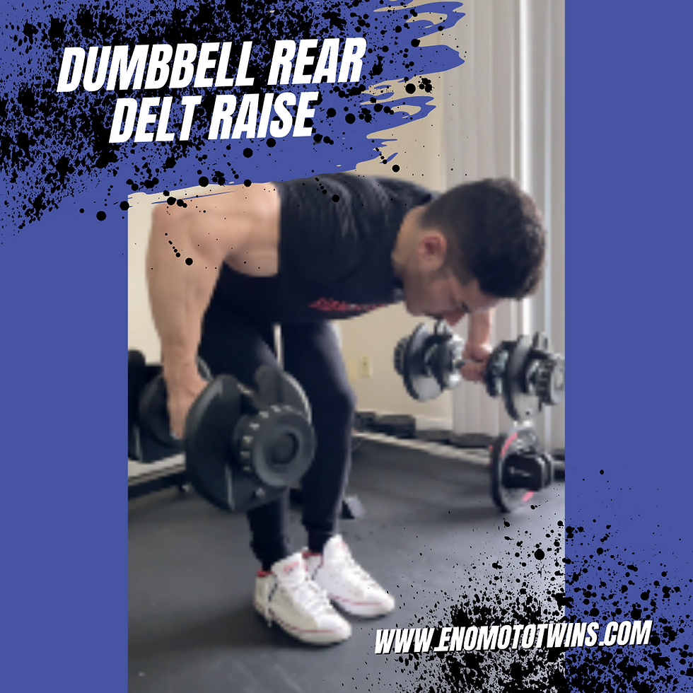 Dumbbell Rear Delt Raise image
