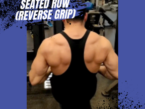 Supinated Grip Seated Row (Reverse Grip)