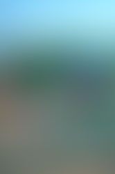 体験会が始まりました!(2025年度入団 対象)