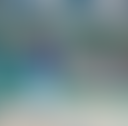 1年生・オープン戦(富士見シニア)