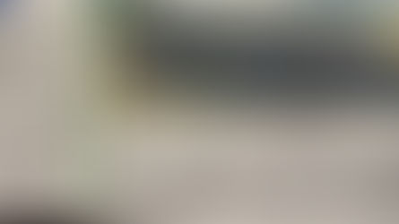 新聞記事掲載