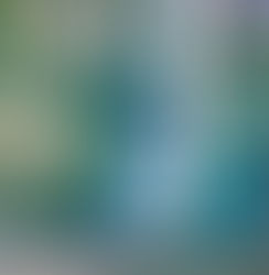 2・1年生 オープン戦(東京青山ボーイズ|川口シニア)