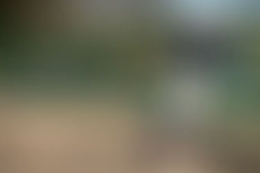 足立議長杯(1年生大会)