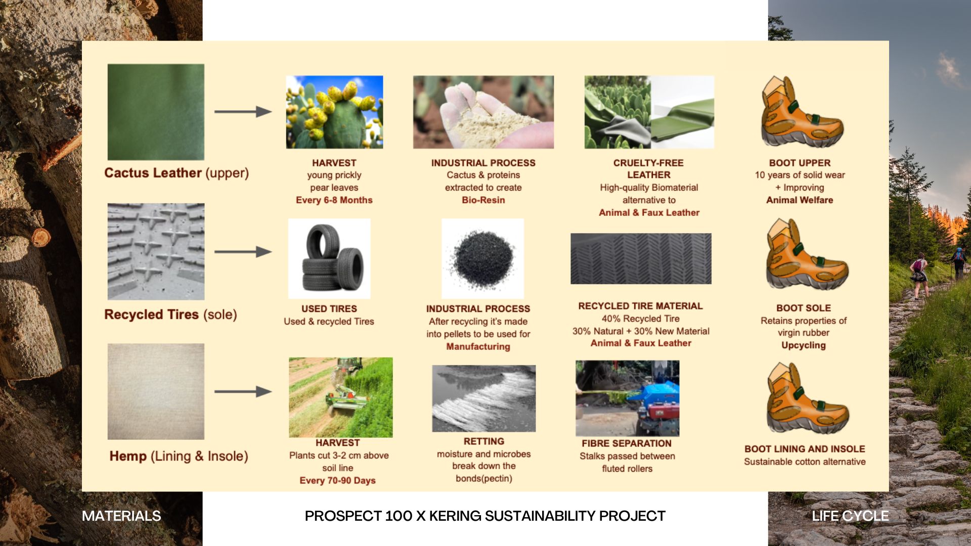Prospect 100