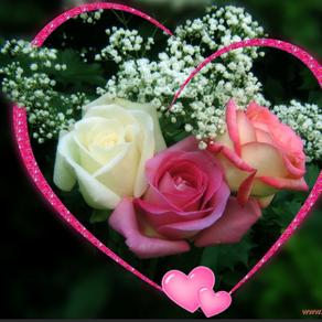 JE T AIME