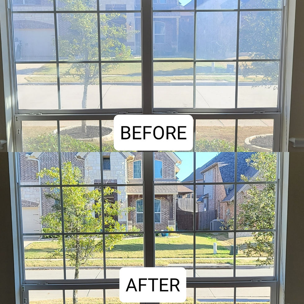 window cleaning 3