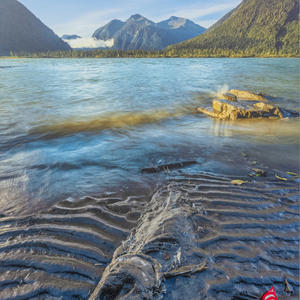 Cycle of Life along the Skeena