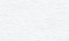 LWP BACKGROUND PIC_edited.jpg