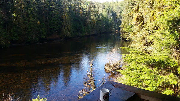 Back at our basecamp. The view from our porch on a nice day but chilly day, warm mug at the ready. (Photo Credit: Michael Arbeider)