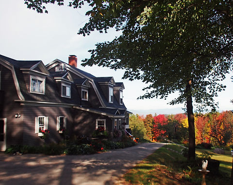 PA084948fx.jpg