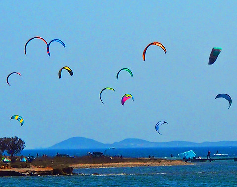 P9013095cr1.jpg