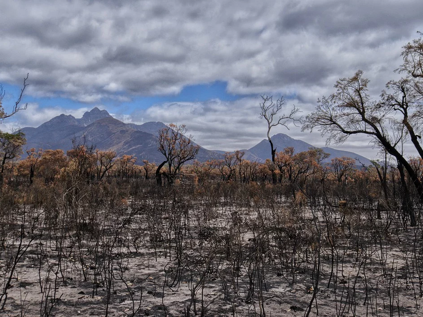 Anywise sets aside $10,000 towards bushfire disaster relief