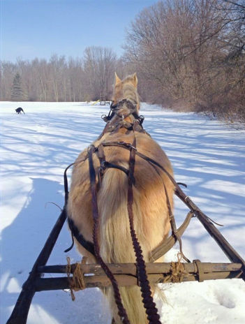 Bullet pulling the sleigh