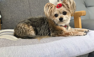 余市床屋アイザワ