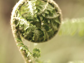 breaths of the physical