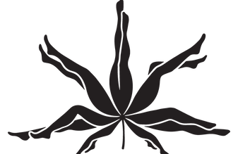 pleasuremed-logo-thumb.png