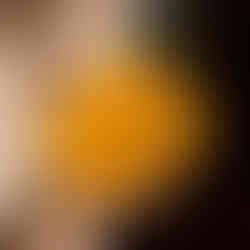 Restaurants in Paris | Au Pied de Cochon