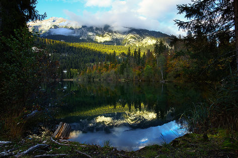 Crestasee in Graubünden mit Wald und Berglandschaft