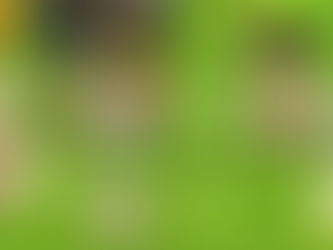 Abgeordnete Kathrin Anklam-Trapp (SPD): Land spannt Schutzschirm für Vereine in Not