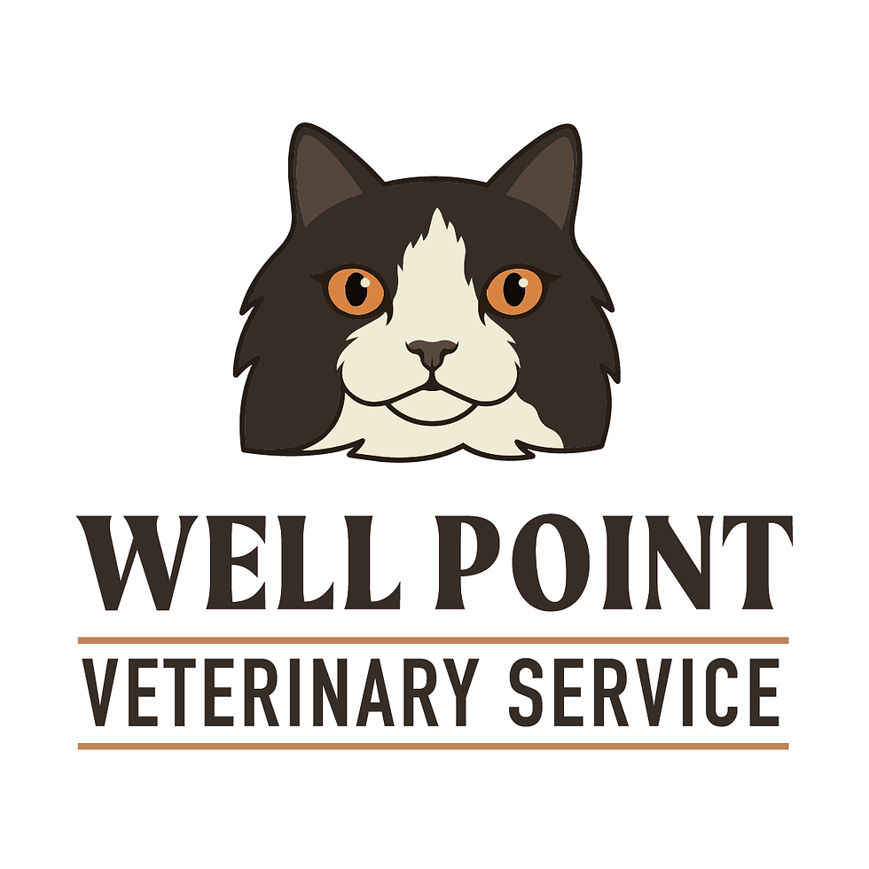 NMAF_Sponsors-11.png