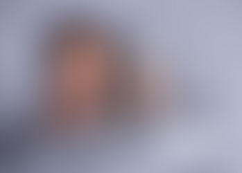 Darcy ~ 14 days | North Brisbane Newborn Photographer