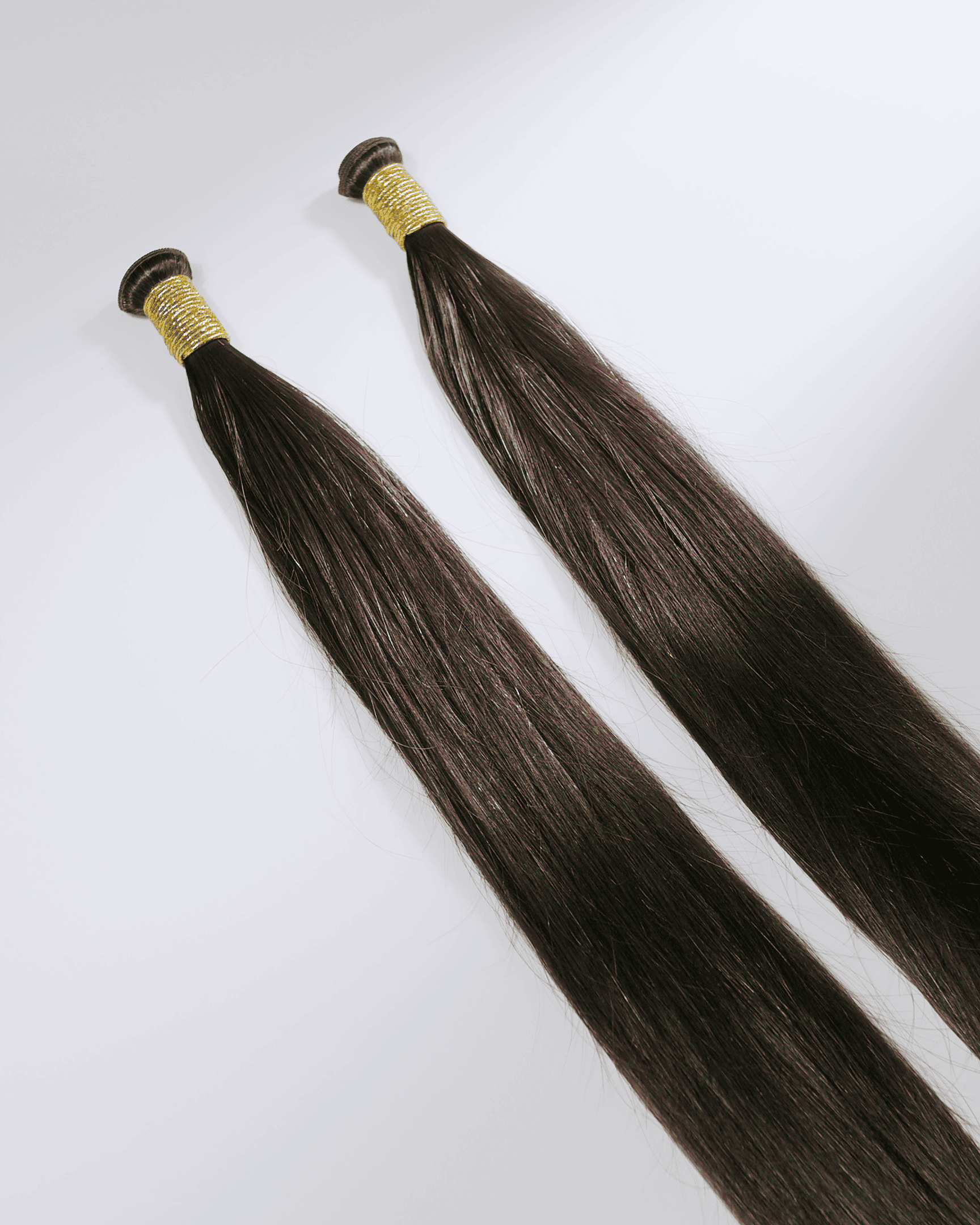 Prenium Europea single donor F15