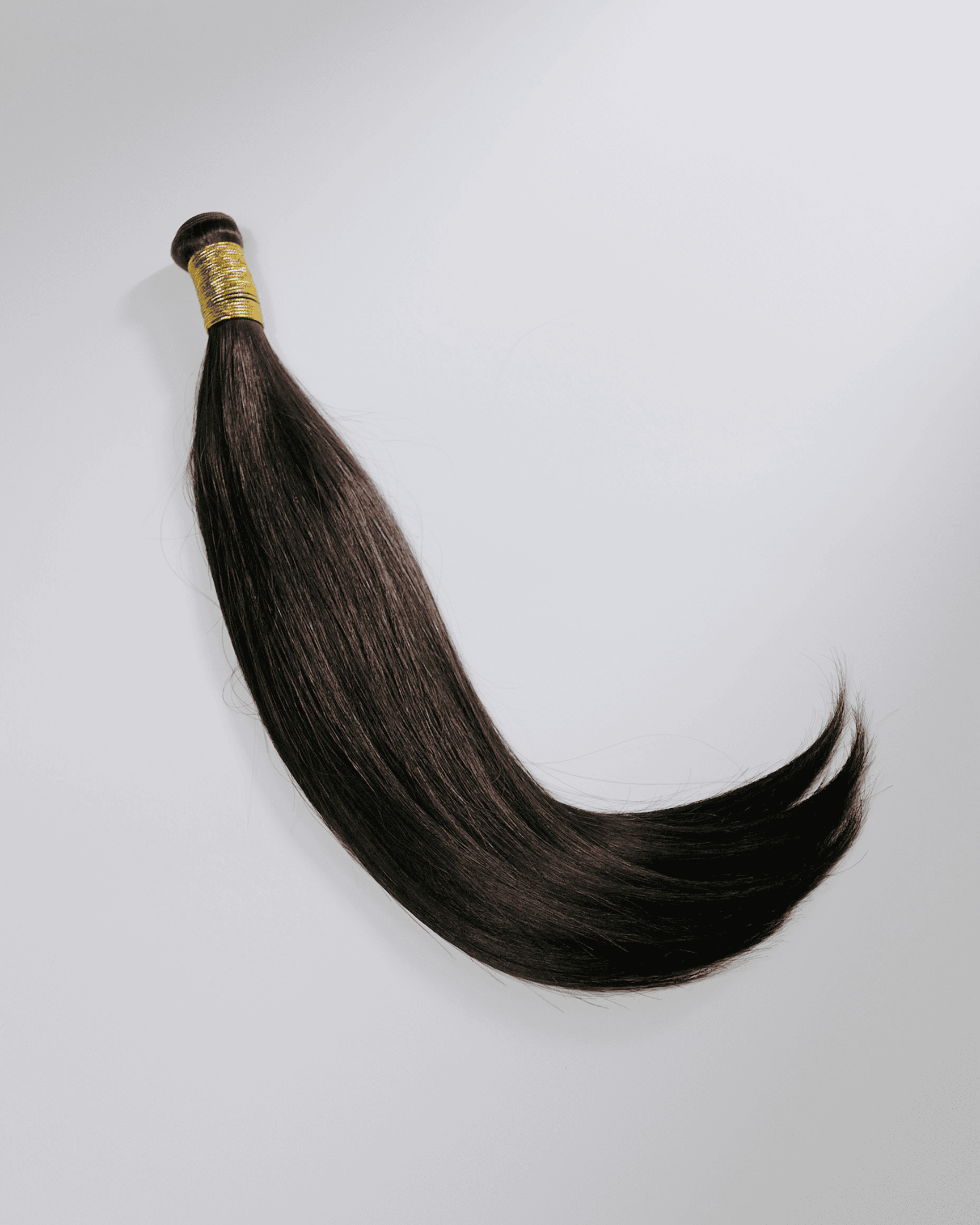 Premium European single donor. F26