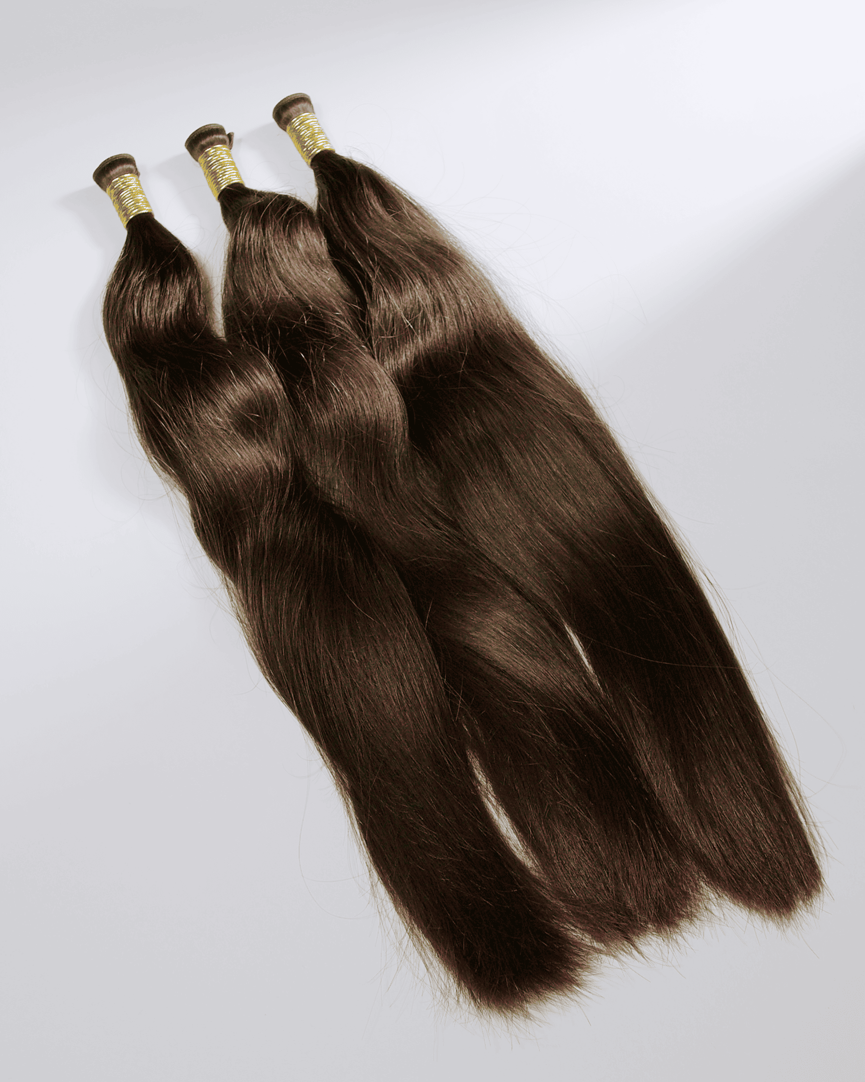 Premium European single donor F31