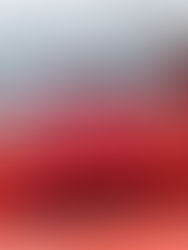 Ferrari 512 TR am ZCCA 2025