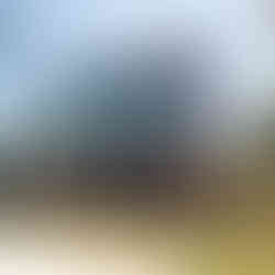 Goodwood FOS 2025 MG