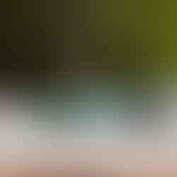 Thomas Amweg Arosa Classic Car