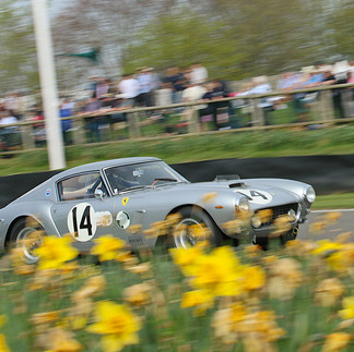 Ferrari 250 GT SWB/C in der Moss Trophy beim Goodwood Members' Meeting