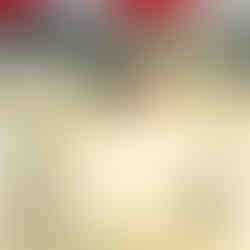 Lägern Classic 2025