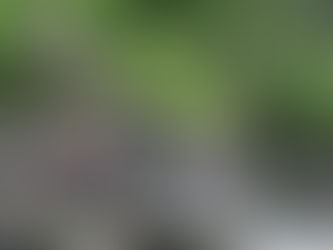 TVOK-Turnfahrt 14./15. Juli 2018