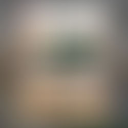 Cover AutoZeit 6/2025